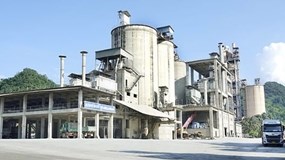 Xi măng Mai Sơn đội sổ nợ thuế tại Sơn La