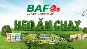 Nông nghiệp BaF (BAF): Thay 'tướng' khi lãi ròng lao dốc, dòng tiền kinh doanh âm gần 600 tỷ đồng, vẫn đặt kế hoạch lợi nhuận vượt mốc 1.000 tỷ