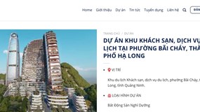 THT Group: ‘Ông lớn’ BĐS bị cấm đấu thầu vì khai hồ sơ không trung thực