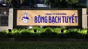 Bông Bạch Tuyết (BBT) chi 180 tỷ đồng dựng trung tâm mới, lợi nhuận đi lùi vẫn đặt kế hoạch tăng tốc năm 2026