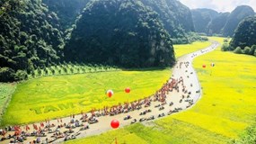 Ninh Bình thu hồi hơn 216 ha đất của 11 dự án chậm tiến độ