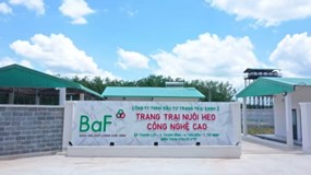 Nông nghiệp BAF Việt Nam: Âm dòng tiền kinh doanh còn phải thanh lý tài sản