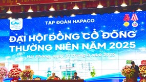 HAPACO: Lộ nhiều khoản nợ xấu từ DN liên quan chủ tịch Vũ Dương Hiền