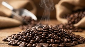 Giá cà phê hôm nay 1/4/2026: Lao dốc mạnh, mất gần 5.000 đồng/kg