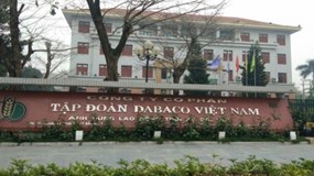 Sau kiểm toán, lợi nhuận của Dabaco “bốc hơi” 97%