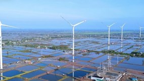 Công ty CP Điện gió Kosy Bạc Liêu bị cưỡng chế thuế