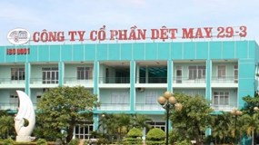 Dệt may 29/3 làm ăn ra sao khi trả cổ tức 500 đồng/cổ phiếu?