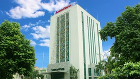 Simco Sông Đà (SDA) đối diện nguy cơ hủy niêm yết do 3 năm bị kiểm toán ngoại trừ, báo lãi 2,36 tỷ đồng chủ yếu từ hoàn nhập dự phòng