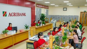 Agribank đang ôm 2,3 triệu tỷ đồng bất động sản thế chấp