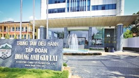 Một thương vụ M&A bất thường của Hoàng Anh Gia Lai