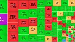 Dòng tiền vào nhóm chứng khoán, VN-Index tăng nhẹ cuối phiên
