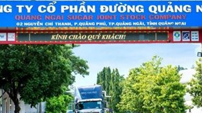 Chủ thương hiệu Vinasoy đặt chỉ tiêu trả cổ tức 2023 giảm mạnh