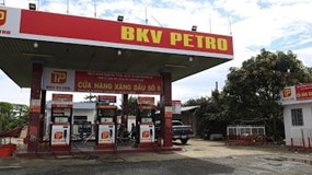 Doanh nghiệp xăng dầu Bách Khoa Việt bị cưỡng chế dừng làm thủ tục hải quan vì nợ thuế