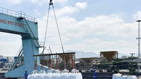 Phú Mỹ đẩy mạnh xuất khẩu ure kỹ thuật, tận dụng cơ hội giá thế giới tăng cao