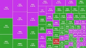 VN-Index bao trùm trong sắc tím, tăng hơn 74 điểm