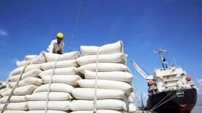 Indonesia tiếp tục mở thầu 300.000 tấn gạo, thêm cơ hội cho gạo Việt Nam