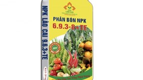 Apromaco: Lợi nhuận tăng gấp 5 lần, gánh khối nợ hơn 1.500 tỷ đồng