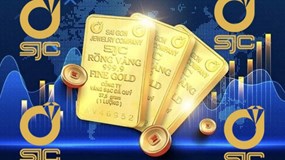 Công ty SJC báo lãi tăng vọt