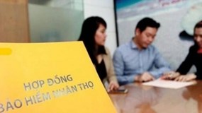 Chấn chỉnh đại lý, hợp đồng bảo hiểm