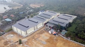 Hà Nội: Đề xuất mức xử phạt vi phạm về đất đai có thể lên tới 500 triệu đồng