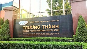 Gỗ Trường Thành (TFF) chấp nhận mất hơn 400 tỷ đồng khoản nợ khó đòi