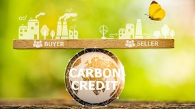 Công nhận tài sản số, tín chỉ carbon là tài sản bảo đảm sẽ thúc đẩy phát triển bền vững