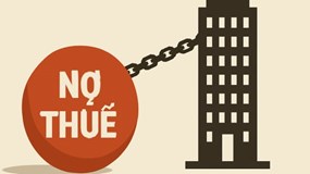 Thanh Hóa: Nợ thuế, Xi măng Công Thanh và nhiều doanh nghiệp bị ngừng sử dụng hóa đơn