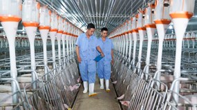 Nông nghiệp BAF (BAF) của Chủ tịch Trương Sỹ Bá lợi nhuận 2025 lao dốc, dòng tiền kinh doanh âm gần 1.380 tỷ đồng, nợ vay gần 4.000 tỷ đồng