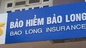 Lợi nhuận quý I/2023 của bảo hiểm Bảo Long: Giảm 80%, vỏn vẹn 30,6 tỷ đồng