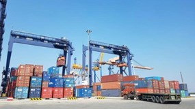 Viconship báo lãi sau thuế gần 70 tỷ đồng trong quý 1/2026