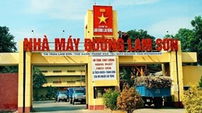 Khai thác không có thiết kế mỏ, Mía đường Lam Sơn bị phạt 100 triệu đồng