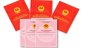 Tp.HCM rà soát toàn bộ dự án chưa cấp sổ hồng
