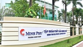 "Vua tôm" Minh Phú lãi quý I/2026 gấp 12,5 lần, hoàn thành gần 20% kế hoạch năm