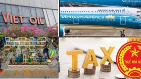 Xuyên Việt Oil, Golden Hill, Pacific Airlines bị công khai nợ thuế hàng trăm tỷ đồng