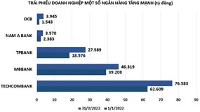 Quý I/2022: Loạt ngân hàng vẫn mạnh tay đầu tư vào trái phiếu doanh nghiệp