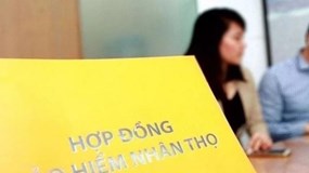 Doanh thu phí bảo hiểm tiếp tục giảm