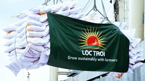 Ngân hàng thu gần 1.700m2 đất của Lộc Trời để xử lý nợ
