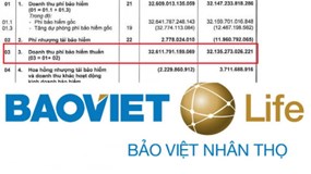 Bảo Việt Nhân thọ lỗ gộp mảng bảo hiểm, chi hơn 96% tài sản đầu tư tài chính