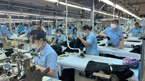 Kế hoạch hành động của Chính phủ về phát triển kinh tế tư nhân