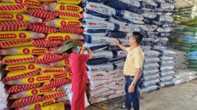 Phú Mỹ cung ứng gần nửa triệu tấn phân bón cho vụ Hè thu/mùa mưa