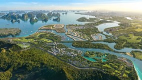 Vinhomes khởi động chương trình chuyển hóa nguồn lực vàng vào nền kinh tế
