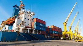 Tân Cảng Logistics: Lợi nhuận tăng, chia cổ tức 25% nhưng cổ phiếu giao dịch trầm lắng