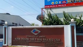 Vay 5.833 lượng vàng giá 7,7 triệu/lượng, DN thủy sản gánh khoản nợ gần 2.750 tỷ đồng