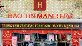 Bảo Tín Mạnh Hải trước thềm IPO: Bức tranh tài chính nhiều màu sắc