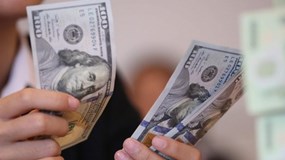 Tỷ giá USD hôm nay 1/6: Tỷ giá trung tâm giảm còn 25.138 đồng/USD