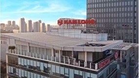 Nam Long (NLG) sắp chi 242 tỷ đồng trả cổ tức, dòng tiền kinh doanh quý I âm hơn 519 tỷ đồng