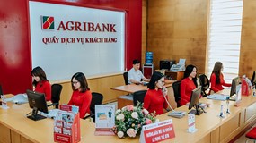 Ngân hàng Agribank liên tục đấu giá, ‘sale’ mạnh các khoản nợ