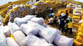 Vinafood 2: Bao lâu nữa mới ‘xóa sổ’ khoản lỗ gần 2.800 tỷ đồng?