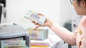 Tân Cảng, VPD, Nam Long đồng loạt chia cổ tức, Novaland thưởng cổ phiếu