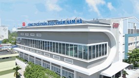 Dược phẩm Nam Hà vừa nhận án phạt: Top 5 công ty đông dược, thu nghìn tỷ mỗi năm
